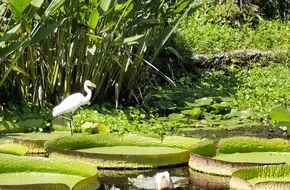 Pujiang Country Park