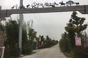 Diyang Happy Farm