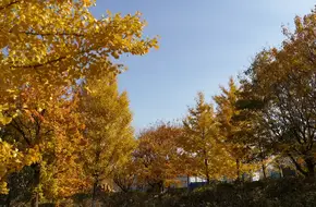 Yujing Mountain Village