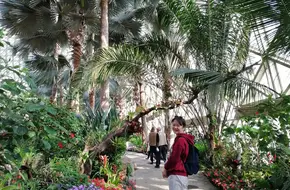 Shanghai Shenshan Botanical Garden - Succulent Plant Pavilion