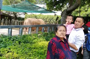 Guangzhou Zoo Predator Zone