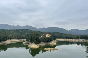 Tai Lam Chung