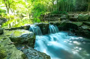 Nine Creeks In Misty Forest