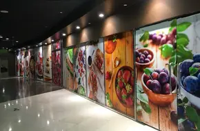 360-Degree Viewing Circular Gallery