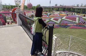 Miracle Flower Carpet