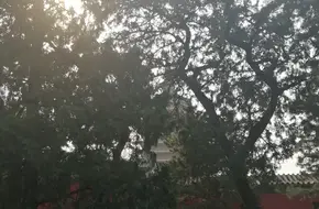 Badachu Park - Buddhist Tooth Relic Pagoda