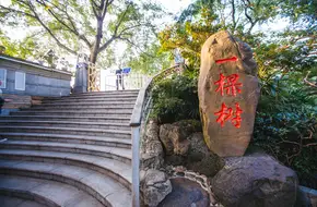Nanshan One Tree Hill