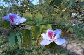 Pinghu Ecological Park
