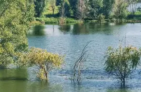 Century Forest Park