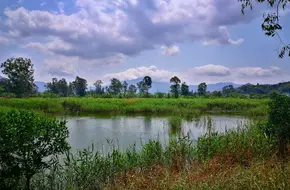 Nam Sang Wai