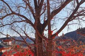 Yunlongjian Natural Scenic Area - Dayunfeng Chan Temple