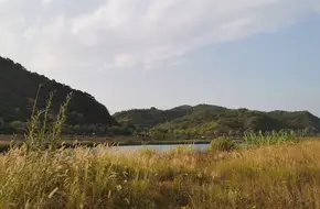 Beijing Yuxinchao River Bay Fishing Park
