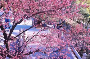 Xingqing Palace Park