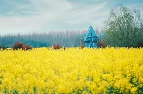 Hua Mi Zhuang Xing