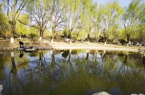 Fengtai Science Park Eco-Theme Park