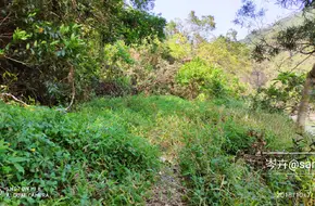 Lok Keng
