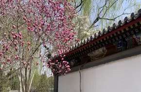 Zhongshan Park Zhongshan Hall