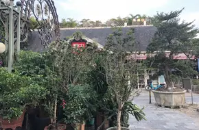 Bonsai Garden