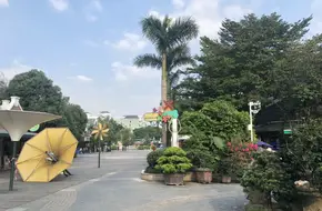 Heji Ecological Museum