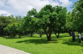 Meilin Mountain Park