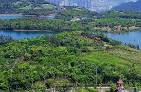 Sanzhou Tea Garden