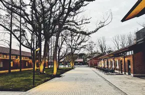 Xisha Wetland