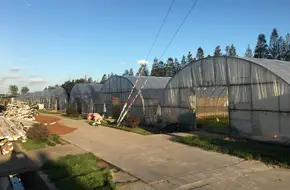Jingtian Pavilion Succulent Greenhouse