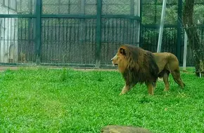 GuangZhou Zoo