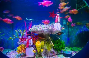 Underwater World Pavilion