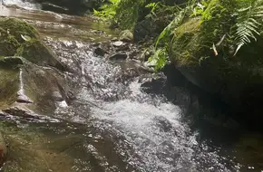 Wutong Mountain National Forest Park