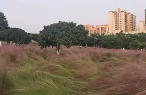 Guangming Honghua Mountain Park