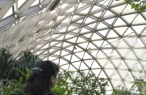 Chen Shan Botanical Garden - Rare Plant Pavilion