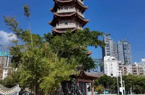 Ancient Tower Community Park