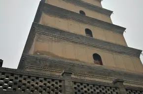 Dharma Hall