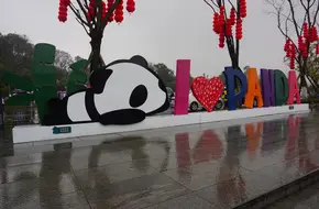 Chengdu Research Base Of Giant Panda Breeding Panda Charm Theatre