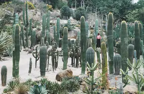 Xiamen Botanical Garden
