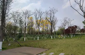 Lion Lake Wetland Park