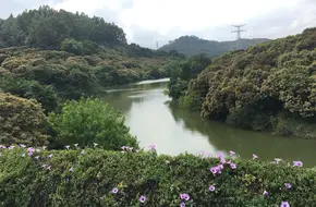 Botanical Garden Lake Area