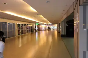 4D Balloon Exhibition
