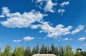 Yongdinghe Leisure Forest Park - Sightseeing Mini Train