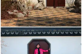 Qingxi Rule Of Law Park
