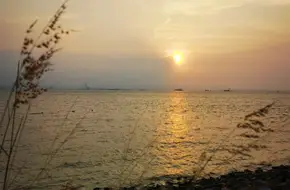 Bao'An Xiwan Mangrove Park - Sunshine Grass Slope