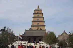 Giant Wild Goose Pagoda Sky Curtain