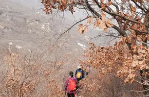 Coffin Mountain