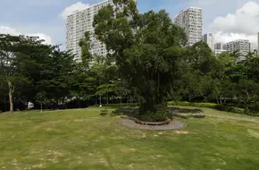 Deyi Park