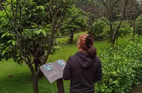 Chongqing Nanshan Botanical Garden Museum