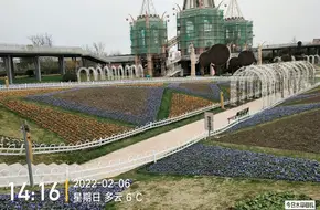 Dream Floral Valley