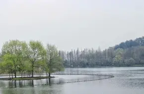 Mao'S Home Port