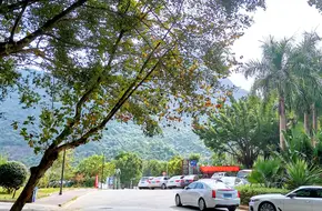 Tiger Valley Eco-Farm