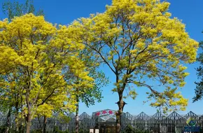 Beijing Agricultural Vocational College Library